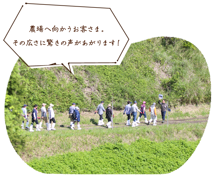 農場へ向かうお客さま。その広さに驚きの声があがります!