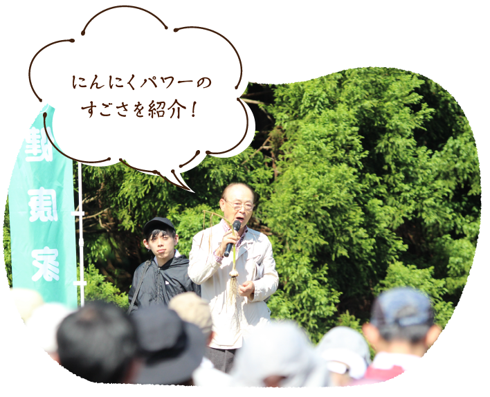 にんにくパワーのすごさを紹介!