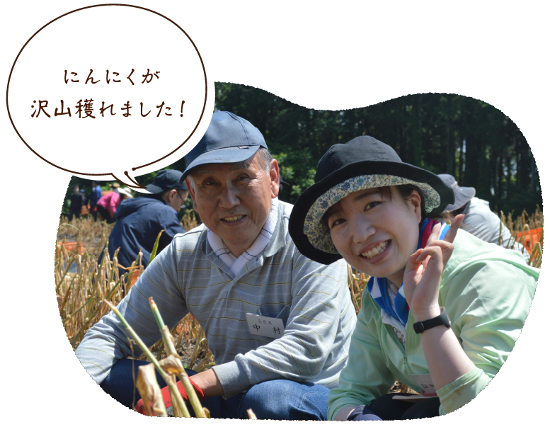 にんにくが沢山穫れました!