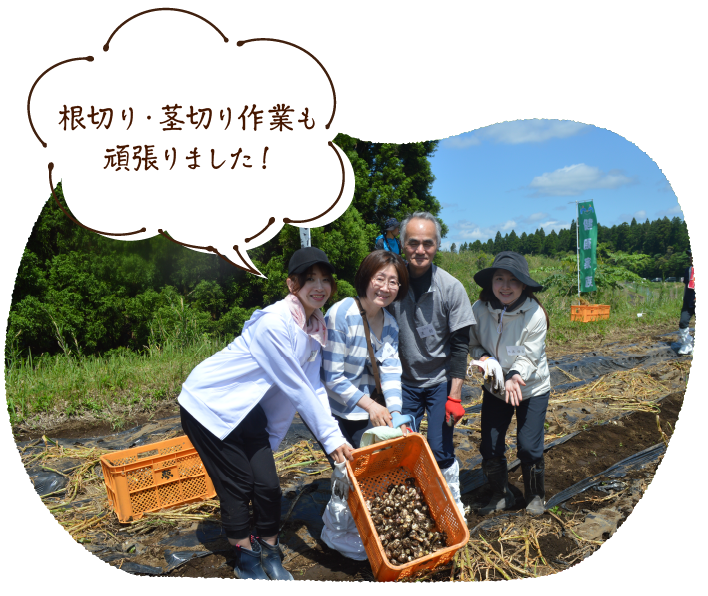 根切り・茎切り作業も頑張りました!