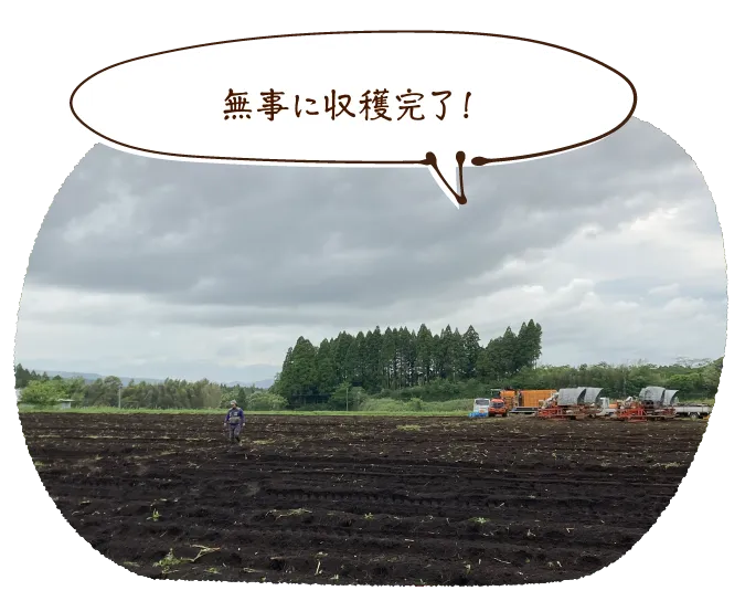 無事に収穫完了!