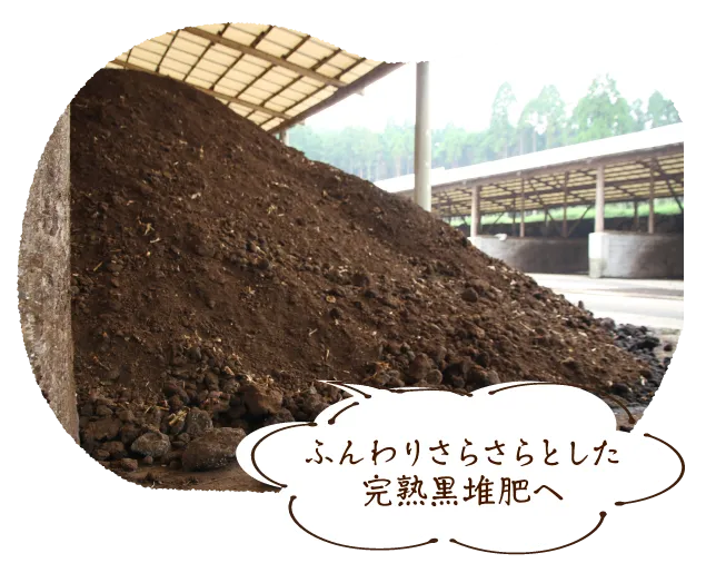 ふんわりさらさらとした完熟黒堆肥へ