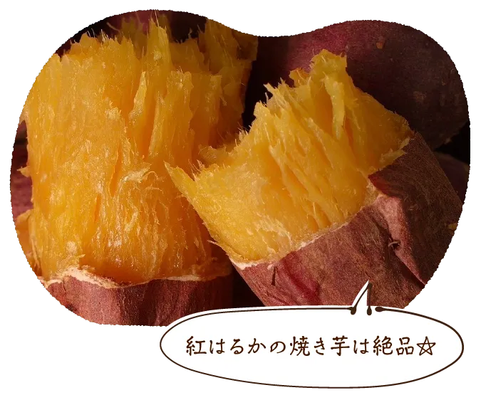 紅はるかの焼き芋は絶品☆