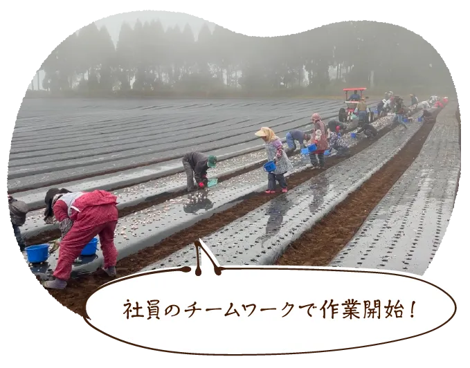 社員のチームワークで作業開始!