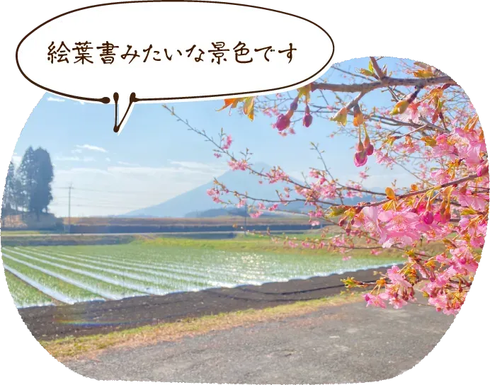 絵葉書みたいな景色です♪