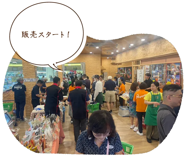 販売スタート!
