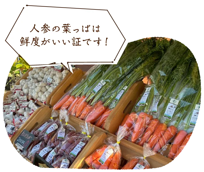 「人参の葉っぱは鮮度がいい証です!」