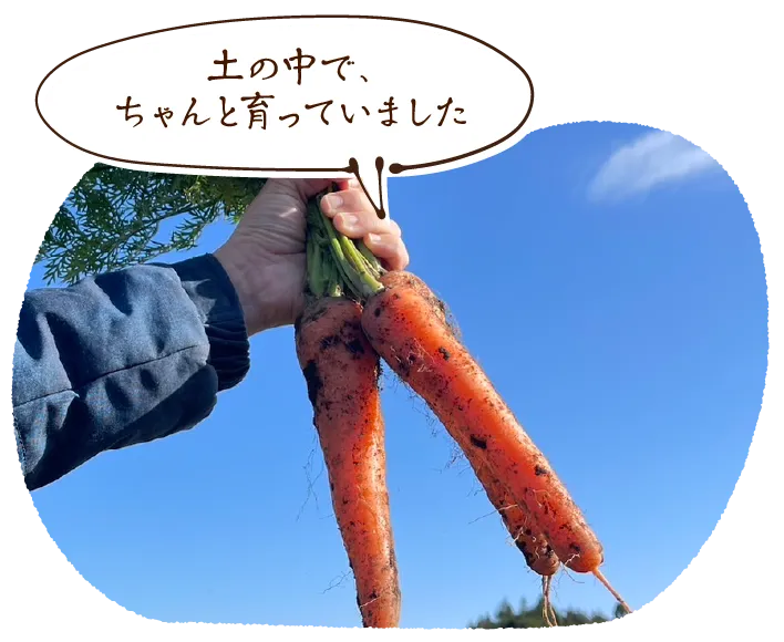 「土の中で、ちゃんと育っていました」