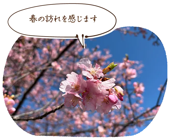 「春の訪れを感じます」