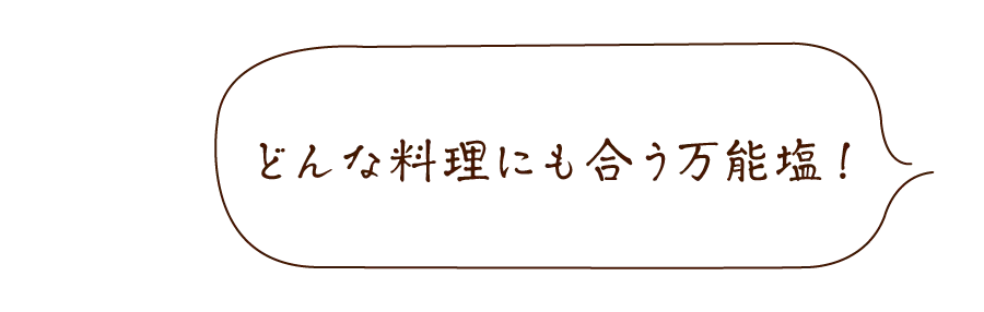 旨すぎにんにく塩