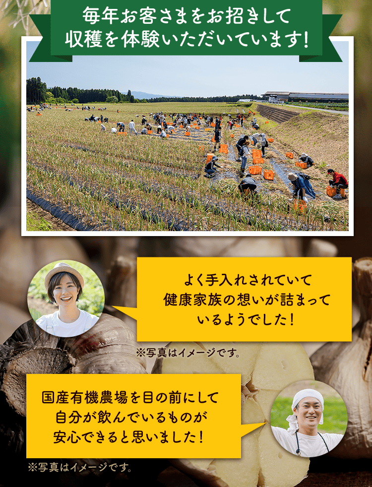 毎年お客さまをお招きして収穫を体験いただいています!